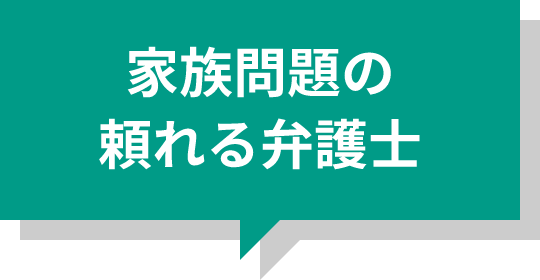家族問題の頼れる弁護士